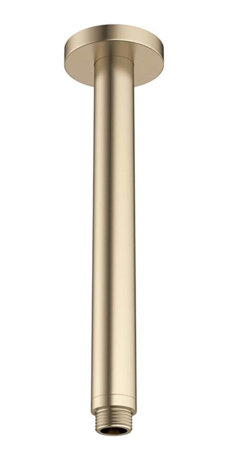 Mike Pro ceiling shower arm Brushed brass